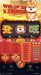 d55135 · Win Win Won